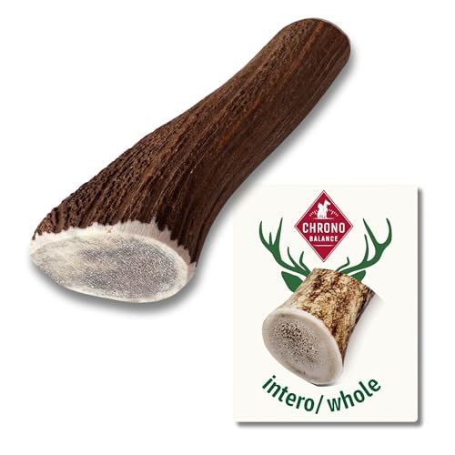 ChronoBalance-XL Corno di Cervo per Cani, Confezione da 1, 100% Naturale, Pezzi Interi, Cura Dentale, Giocattolo per Cani, Ricco di Minerali e Nutrienti, Lunga Durata