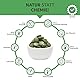 Bio Green Trio Presslinge 200g | 500 Tabs mit 1/3 Chlorella Spirulina Gerstengras | Rohkost Tabletten 400mg pro Tab | 100% rein und ohne Zusatzstoffe
