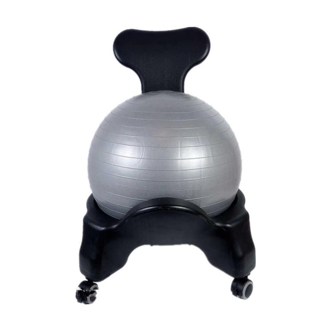 BZJPRFC Ergonomic Seating Exercise Ball Chair