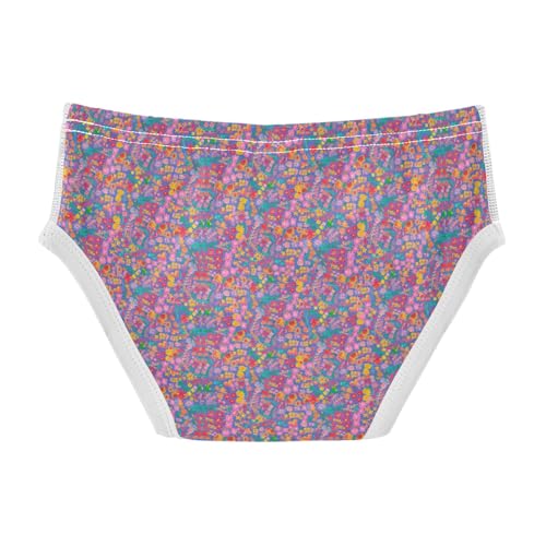 Boys' Exclusive Briefs Toddler Underwear 95% Combed Cotton Boxerbriefs 2T Colorful Flower Pattern 462