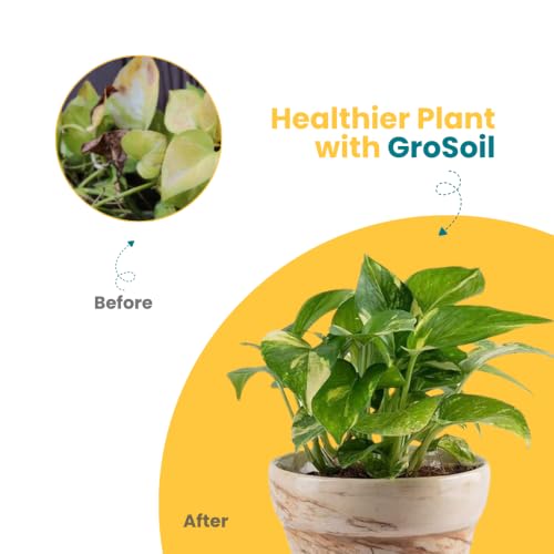 Image of Nurturing Green GroSoil+ Potting Soil Mix with Biochar, Makes 500gm Soil