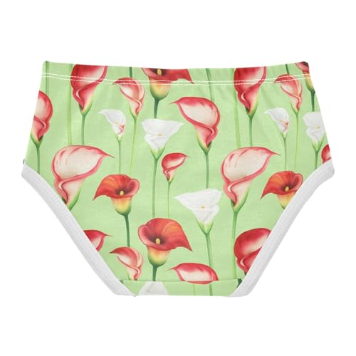 Funny Girls Underwear Toddlers 2t Cotton Cute Panties Girl Red White Calla Lilies Light Green Briefs Underpants2