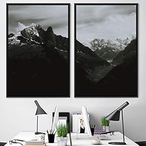 signwin 2 Piece Framed Canvas Wall Art Monochromatic...