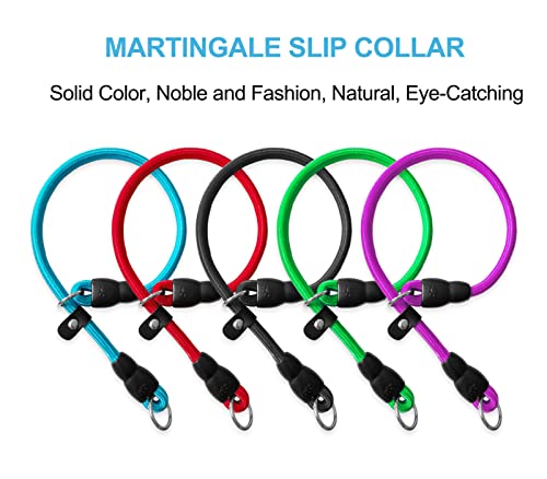 LOS ANDES Dog Slip Collar Choke Collar for Dog Training Nylon Rope Collar with Adjustable Stopper No Pull Round Martingale Dog Collar for Small Medium Large Dogs(Blue - Image 2