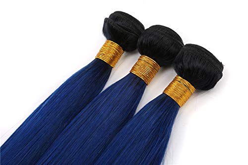 HairPR Ombre Hair Weft Remy Indain Virgin Human Hair 14"weft 1B/Blue Silk Straight