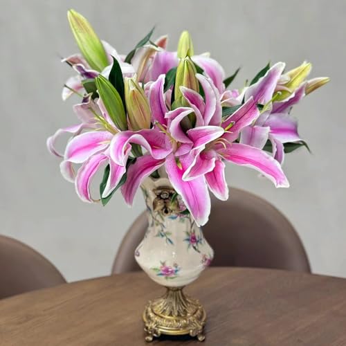 bulbos de lirios decoracion vegetal plantas perennes, plantas perennes resistentes, Las plantas de sombra son resistentes maceta de bonsái plantas resistentes para jardín, bulbos de 14pcs