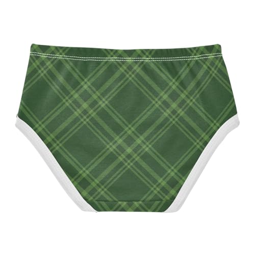 Brief Panties Daily Wear Panties Breathable Underwear for Kids in Sizes 2T,3T, 4T, 5T, 6Y and 8Y2