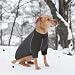 IECOii hundepullover,hundemantel Fleece,Hunde Sweatshirt,Hunde Pullover,Warmer und Leichter hundepulli,wintermantel Hund,Outdoor hundemantel,hundejacke,Hundepullover Hundemantel Fleece(Grau,2XL)
