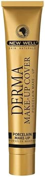 new well Derma Makeup Cover Intensive Concealer Foundation 03 Silver