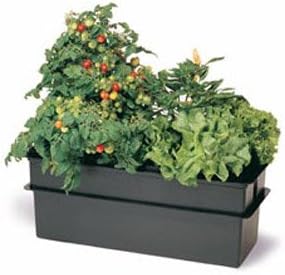 American Hydroponics Baby Bloomer