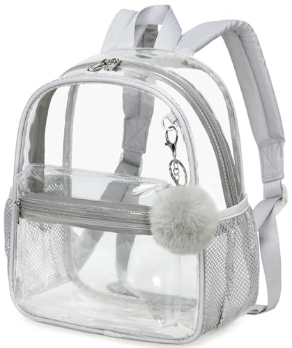BTOOP Mochila mini transparente para eventos em estádios, 30x30x15 cm, pequena mochila transparente de plástico, bolsa transparente para shows, trabalho, festivais, segurança e viagens, cinza.