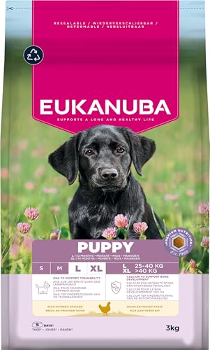 Eukanuba Welpenfutter mit frischem Huhn für große Rassen, Premium Trockenfutter für Junior Hunde, 3 kg Eukanuba Welpenfutter mit frischem Huhn für große Rassen, Premium Trockenfutter für Junior Hunde, 3 kg