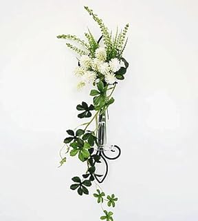 花瓶 壁掛け 壁掛け 一輪挿し ガラス 一輪挿し ガラス アイアン アンティーク 壁掛け 一輪挿し おしゃれ 壁掛け 一輪挿し アート ブラック フラワーベース ガラス ウォールデコ アイアン ウォールデコ 飾り アイアン [並行輸入品]