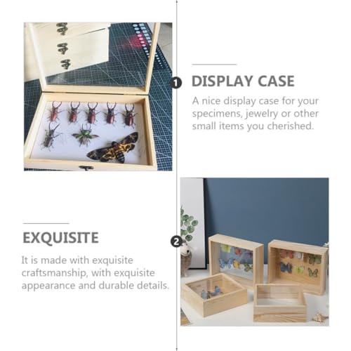 Vitrine à insectes antidérapante OSALADI pour sécuriser les collections fragiles - 4