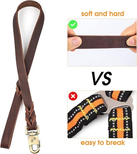 Heavy Duty Dog Leash in Use