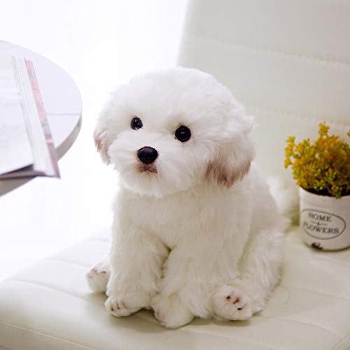 Amazon.co.jp: シミュレーションマルチーズ犬ぬいぐるみ
