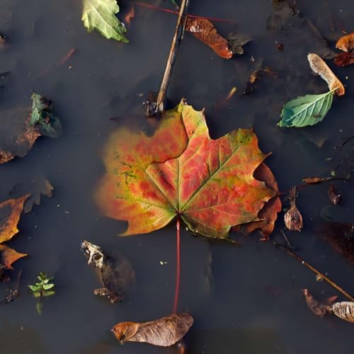 Arriving Where We Already Are