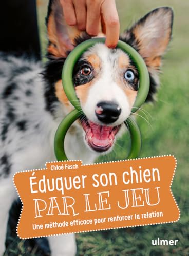 Eduquer son chien par le jeu: Une méthode efficace pour renforcer la relation