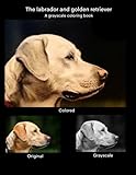  The labrador and golden retriever: a grayscale coloring book