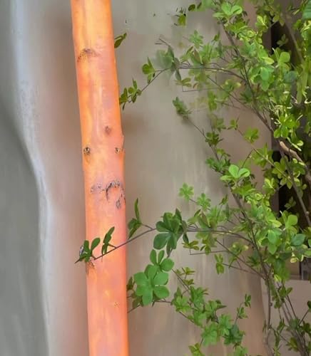 Uhetoice Cgto[`c[ tFCNo[`gN `[u FRP V~[Vf y hh   O NX}X nEB C[X^[c[ z[p[eB[ EFfBOfR[Vp 