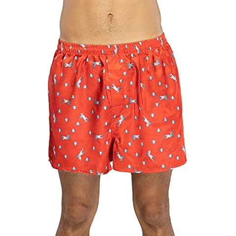 Valentine's Day Unicorns and Hearts Red Boxer Shorts - X-Large Cover