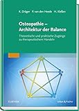 Osteopathie - Architektur der Balance: Theoretische und praktische Zugänge zu therapeutischem Handeln