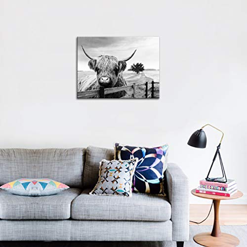 Highland Cow Canvas Black And White Landscape Pasture Hairy Cow Animal Wall Art Pictures Canvas Wall Art Farmhouse Prints Photo Contemporary Cow Decor Paintings Home Decoration Artwork 12"X16" #TOP2