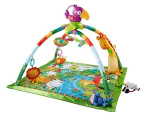 Fisher-Price Rainforest Erlebnisdecke Spielbogen GXC35