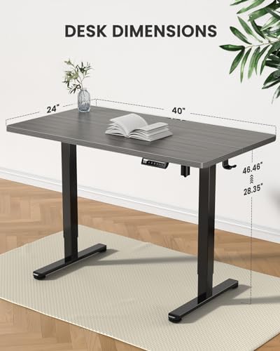 image for ErGear Small Height Adjustable Electric Standing Desk, 40 x 24 Inches 