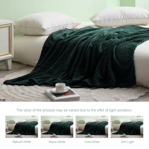 Image of Exclusivo Mezcla Fleece Throw Blanket for Couch Sofa, 50 inchx70 inch, Forest Green | Oversized Soft Cozy Fluffy Blankets for Summer, Decorative Plush Flannel Throws for Living room, Bedroom with Leaves Pattern