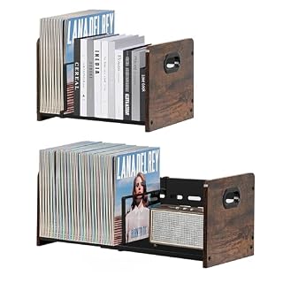 LOFTEY Vinyl Record Storage Holder, Expandable Vinyl Record Organizer with Movable Divider, 60-120 LP Album Storage, Magazine Rack, Rustic Brown - Les Beatles, Paul McCartney, John Lennon, RIngo Starr, George Harrison
