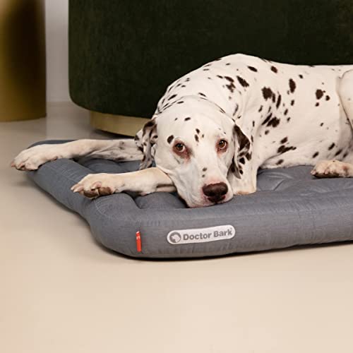 Doctor Bark Hundekissen - orthopädisches Hundebett, 95°C waschbar, hygienisch, robust & bequem (S - 60x55 cm, Grau)