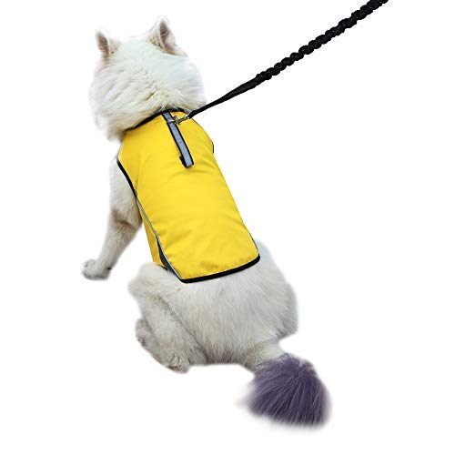 Best Dog Anxiety Jackets In India Mix And Grind