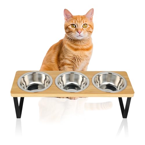 Set di 3 ciotole rialzate per cibo per gatti, in acciaio inox, con supporto inclinato di 15°, ciotola rialzata per cibo e acqua, stazione di alimentazione per animali domestici in bambù di alta