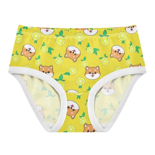 Joisal Cute Cartoon Dog Lemon Yellow Girls Underwear Toddler 2t Cotton Panties Little Girl Personalized Briefs Undies Kids