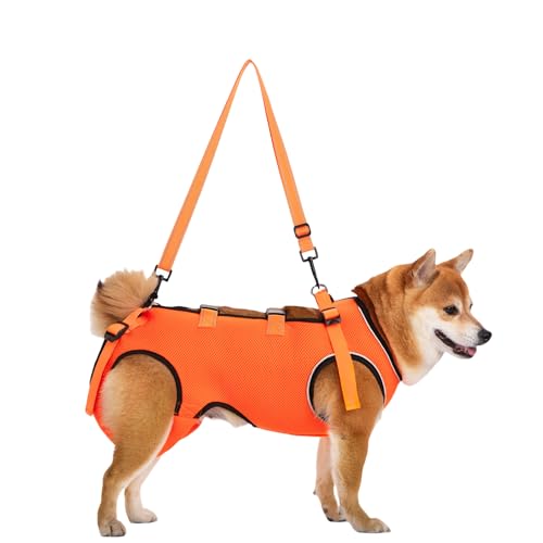 pn[lX  ʋC  pn[lX s⏕ V  pi EȒP V//p//aC ^ ^   r Q nr U  ̑Oƌ둫̕⏕ o֗ (XSi1.5`3.5kǧj,I