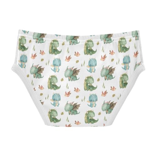 Boys' Exclusive Briefs Toddler Underwear 95% Combed Cotton Boxerbriefs 2T Cartoon Dinosaur Pattern 22