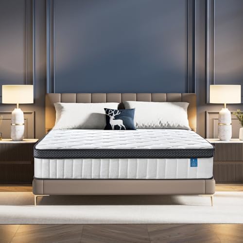 Ckiye Queen Hybrid Mattress