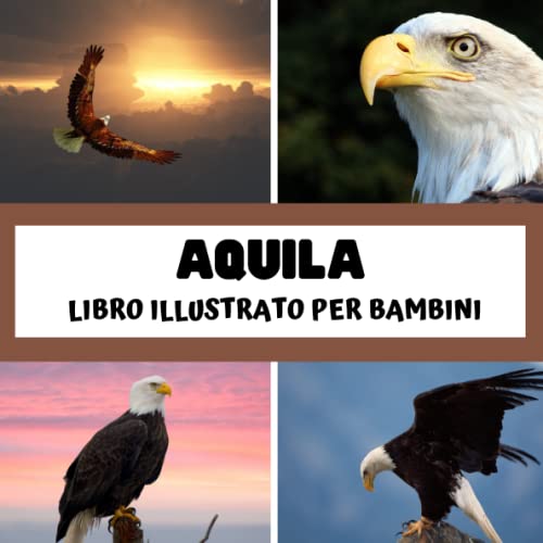 Libro illustrato per bambini - Aquila: Aquila in immagini - Bambini da 2 a 5 ann