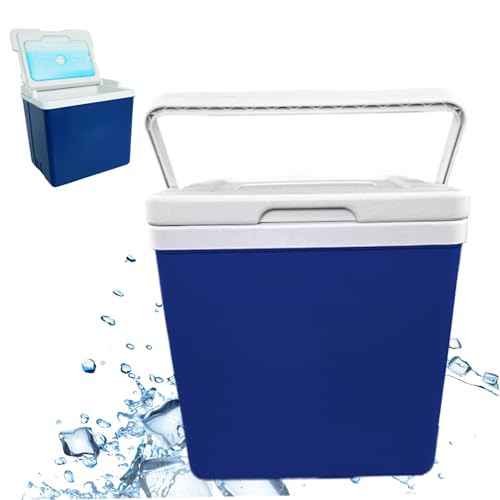 Mini glacière rigide isolée 10L avec poignée pour camping - 5