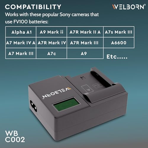 Image of WELBORN LCD Camera Battery Charger Charger for Sony Camera Battery NP-FZ100 Compatiable with Sony Alpha A7CR A7S III A1 ZV-E1 A7C A9 A7 IV A6600 A9 II A7 III A7C II A7R V A9 III A6700 A7R III