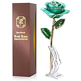 Sinvitron Gold Dipped Rose 24K Real Rose, Long Stem 24k Gold Plated Rose with Stand, Birthday Gift for Women,Gifts for Mom, Dipped Gold Rose for Anniversary, Mothers and Valentines Day (Light Blue)
