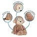 KIDS PREFERRED Carter's Snuggle Me Monkey Plush Stuffed Animal Sensory Toy for Kids, Toddlers, Babies, Boys and Girls of All Ages