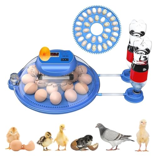 zACLx[^[Az@A 8`62̗eCLx[^[B]E@\tBtB{EAqEK`E̛zɁB(16eggs)