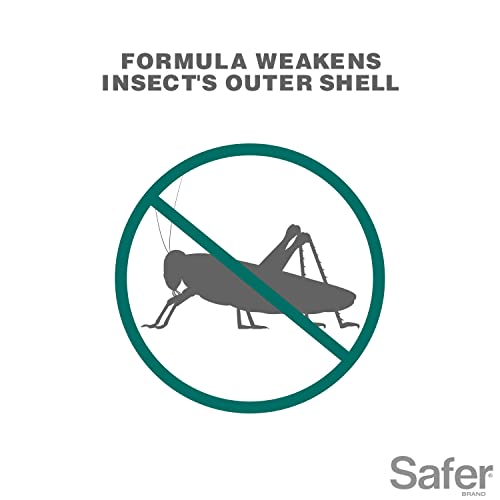 Safer 5118-6 Insect Killing Soap Concentrate thumb #2
