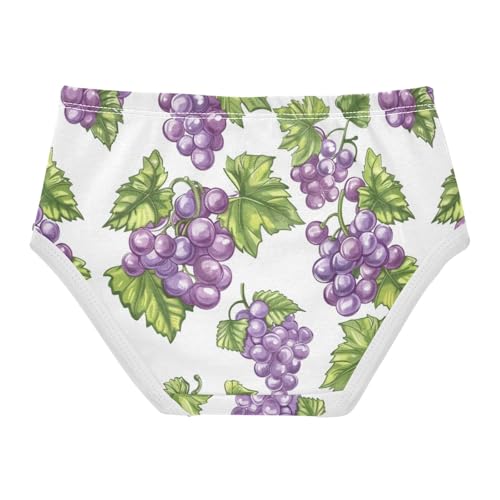 ZZKKO Purple Grape Bunches Girls Underwear Toddler Panties for Girls Comfort Brief Size 2-8T2