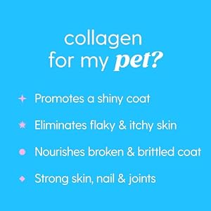 Skin and Coat Supplement for Dogs, Cats | Taily Liquid Collagen for Dogs | Itch Relief for Dogs with Allergies, with Grass Fed Collagen, Biotin, Vitamin C and Hyaluronic Acid | Made in USA Skin and Coat Supplement for Dogs Cats Taily Liquid Collagen for Dogs Itch Relief for Dogs with Allergies with Grass Fed Collagen Biotin Vitamin C and Hyaluronic Acid Made in USA