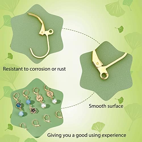 PandaHall Elite 100 pcs Golden Brass Lever Back Hoop Earrings for DIY Jewellery Making,10x15mm
