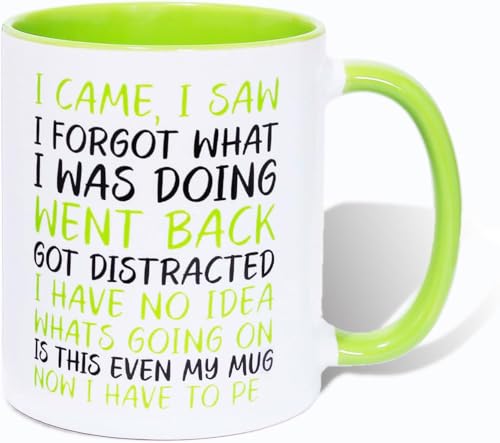 Ceraozmus I Came I Saw I Forgot Coffee Mug,Funny Birthday