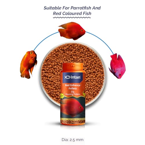 Image of Intan Red Enhance Pellets (Big 2.5mm Floating) | 150gm - Highly Nutritious Ornamental Fish Food for Parrotfish & Red Coloured Fish | Growel Feeds